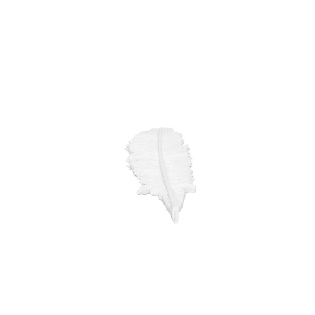 Feather22 interactive 3D model
