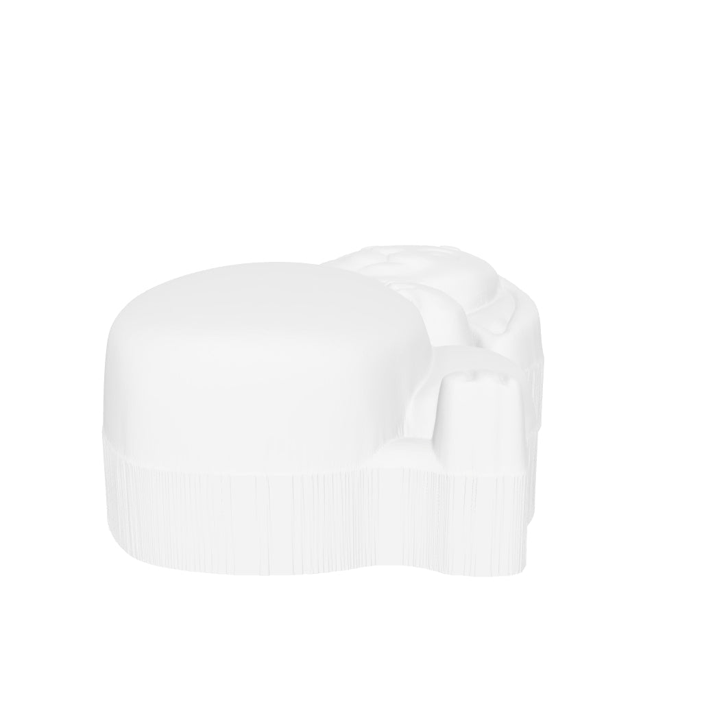 PASCUA2 interactive 3D model