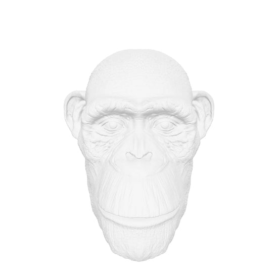 CHIMP HEAD 3D interactive 3D model