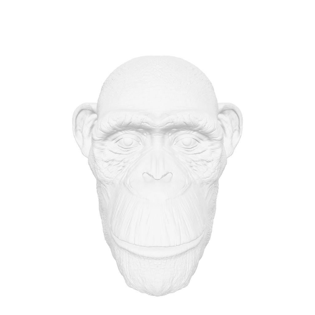 CHIMP HEAD 3D interactive 3D model