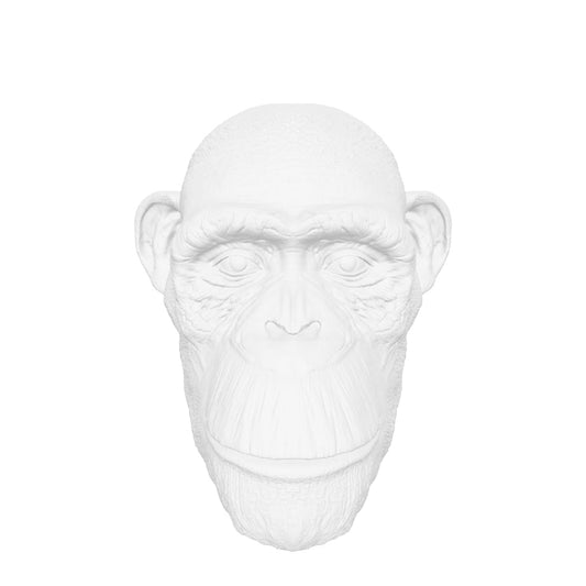 CHIMP HEAD 3D interactive 3D model