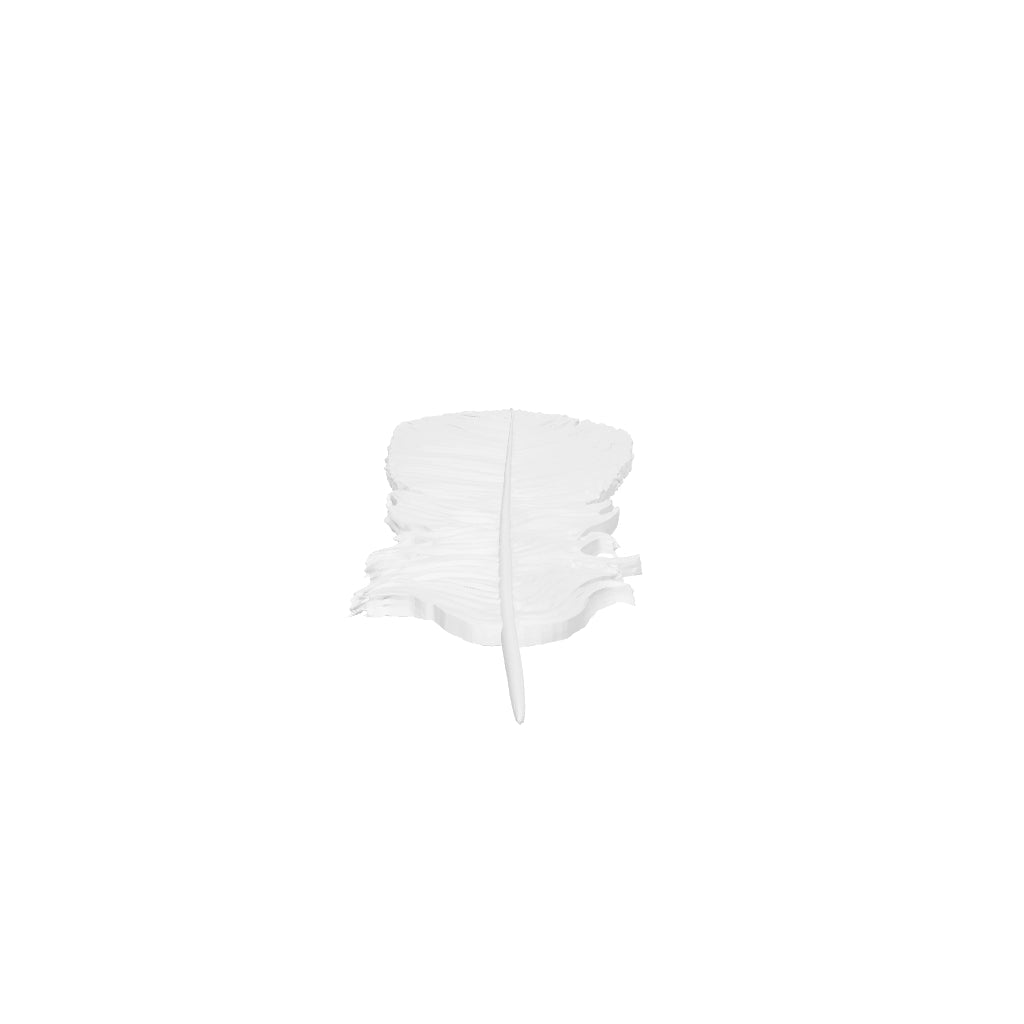 Feather7 interactive 3D model