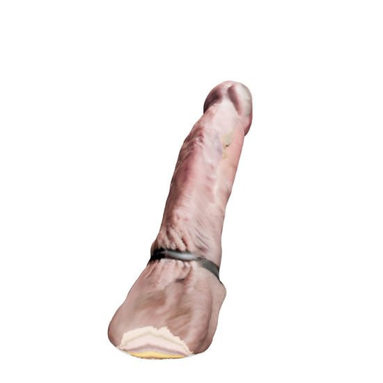 Stephen's Hammers Real Dick interactive 3D model