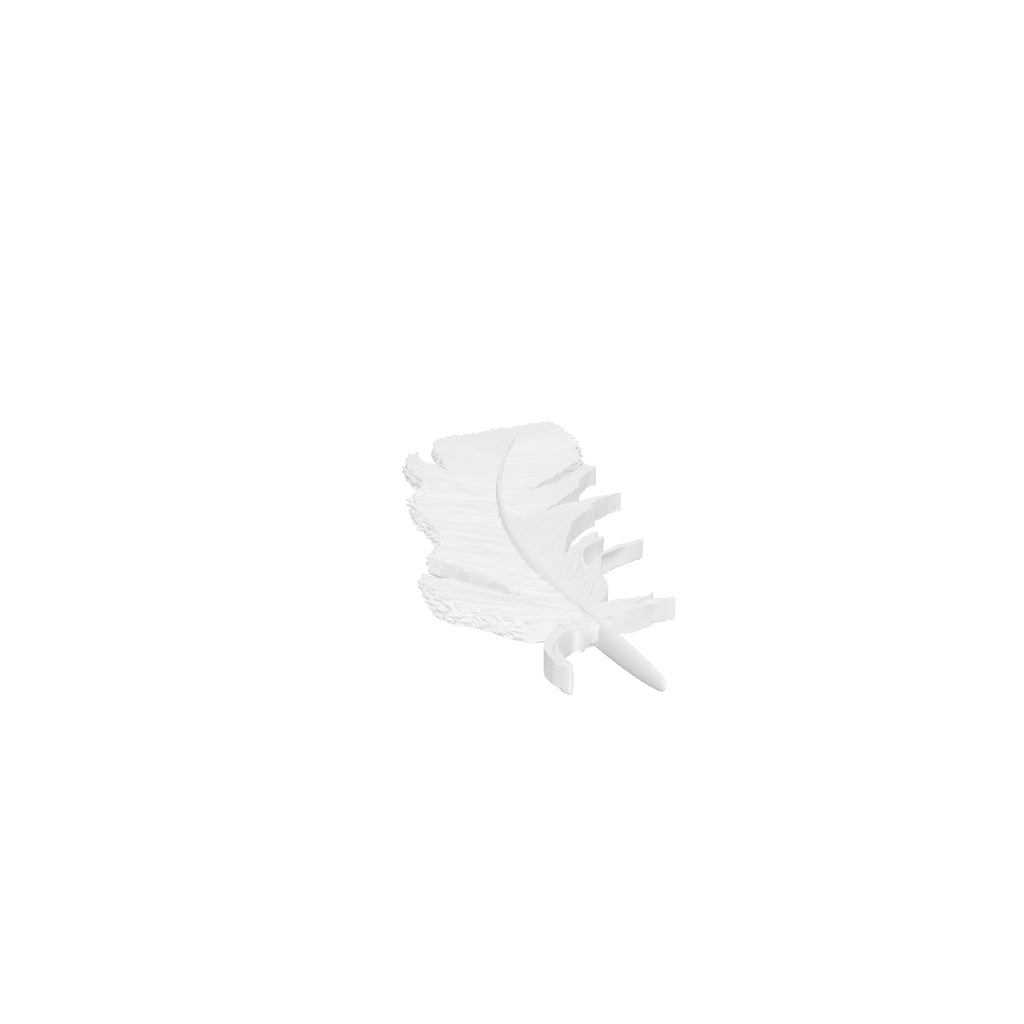 Feather5 interactive 3D model