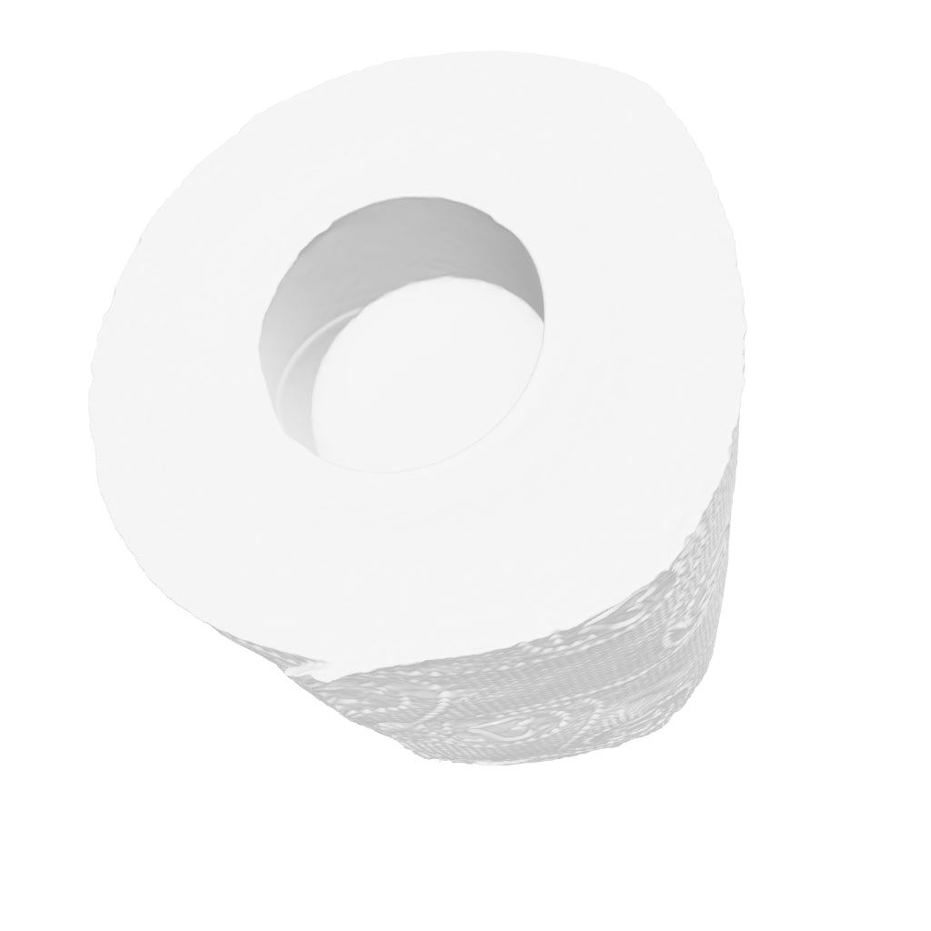 Scannedtoiletpaper interactive 3D model