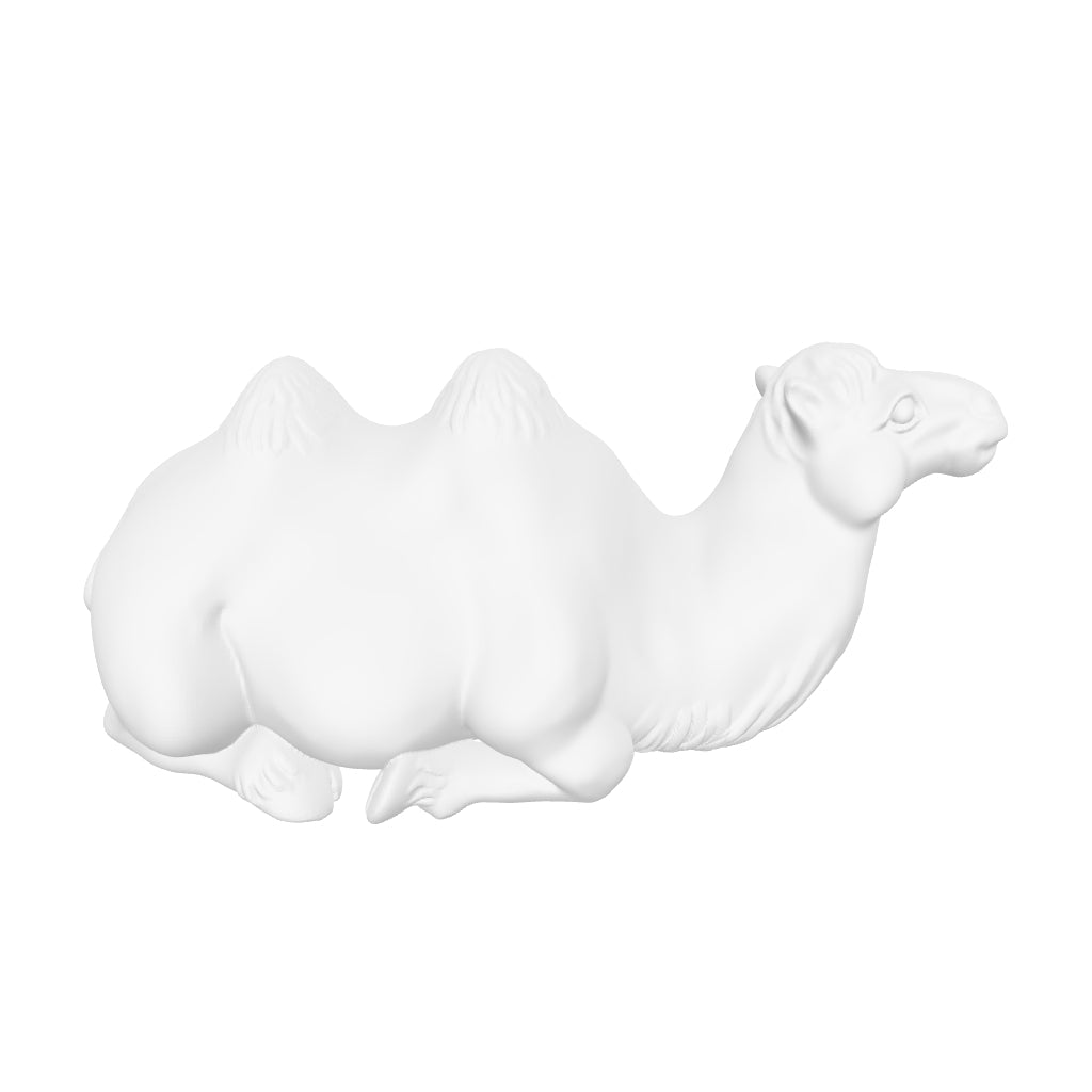 CAMEL SOAP interactive 3D model
