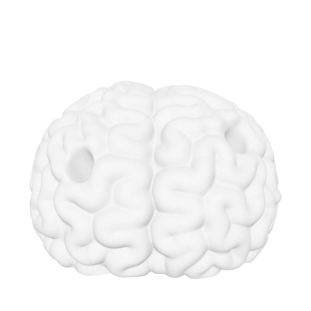 BRAIN PENCIL HOLDER interactive 3D model
