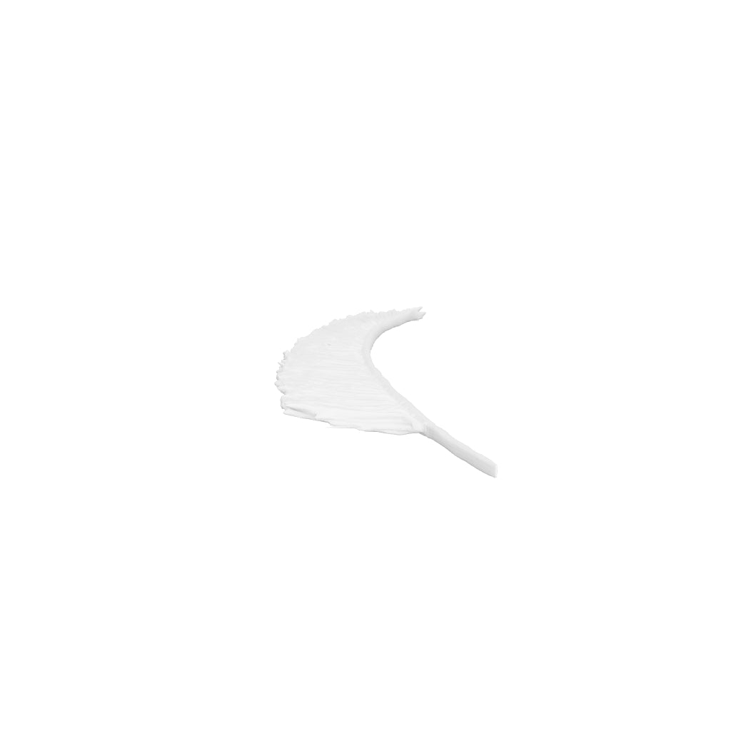 Feather11 interactive 3D model
