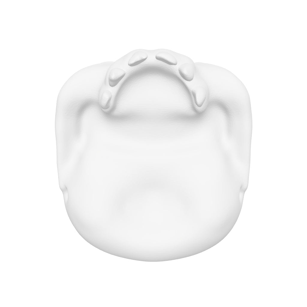 skull interactive 3D model