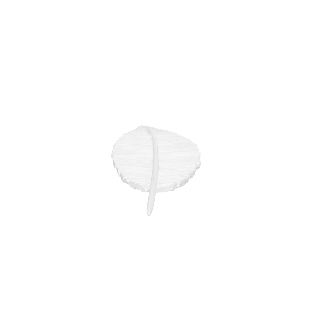 Feather3 interactive 3D model
