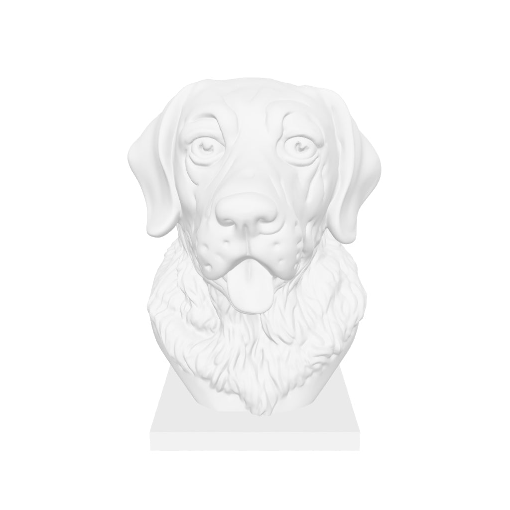 labrador-1 interactive 3D model